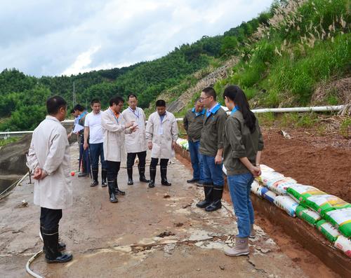 邓义桢:6.21吴彩洪董事长到龙岩分公司视察防汛抗灾工作3.jpg 邓义桢:6.21吴彩洪董事长到龙岩分公司视察防汛抗灾工作3.jpg