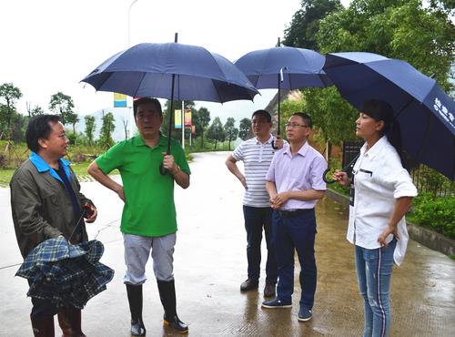 邓义桢：江山镇政府领导到龙岩分公司考察防汛抗灾工作1.jpg