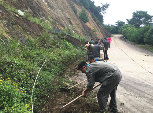 龙岩分公司党委组织开展迎“七一”党员义务劳动2 邓义桢 摄.jpg
