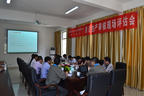 海峡科化龙岩分公司清洁生产审核顺利通过现场评估,图为清洁生产审核报告评估会现场.邓义桢摄.jpg