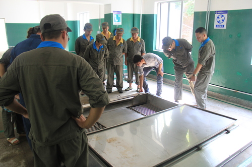 IMG_4694.jpg IMG_4694.jpg