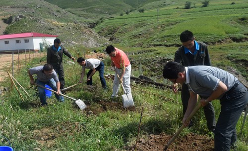 来庆忠插图2.jpg 来庆忠插图2.jpg