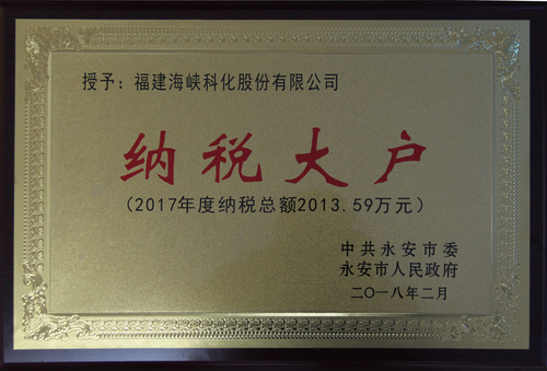 2017年度纳税大户2.jpg