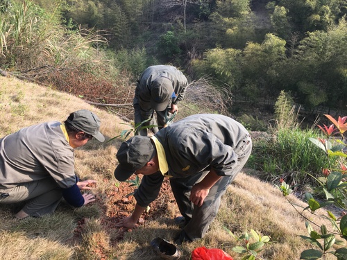 郑新浩:永安分公司六车间组织员工开展植树活动1.jpg 郑新浩:永安分公司六车间组织员工开展植树活动1.jpg
