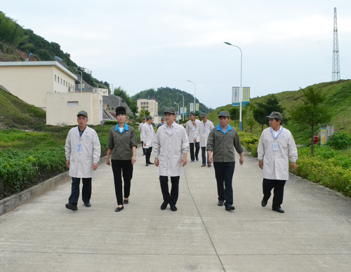 DSC_04361.jpg DSC_04361.jpg