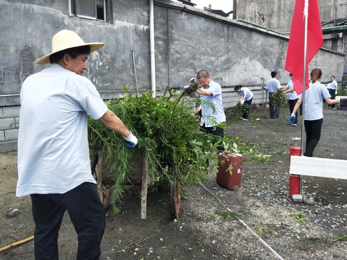 蔡美花、许丽珠：图为公司党支部开展义务劳动主题党日活动现场.jpg