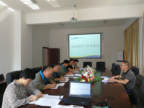 钟林琳:龙岩分公司周密部署党支部达标创星工作2.jpg 钟林琳:龙岩分公司周密部署党支部达标创星工作2.jpg