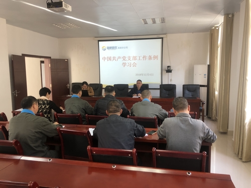 谢颜果：龙岩分公司组织开展《中国共产党支部工作条例》学习会.jpg