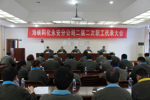 IMG_9462.jpg IMG_9462.jpg