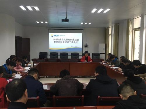 钟林琳：龙岩分公司机关一支部召开2018年度党支部组织生活会暨评议党员会议.jpg