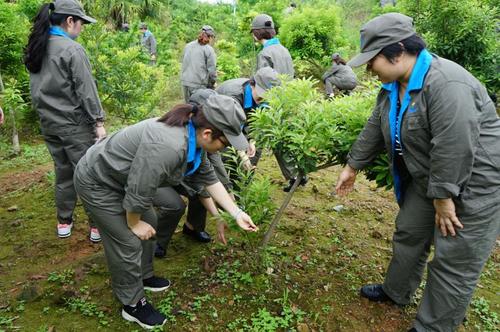 叶莉:龙岩分公司女工委开展树木义务施肥活动1.jpg 叶莉:龙岩分公司女工委开展树木义务施肥活动1.jpg