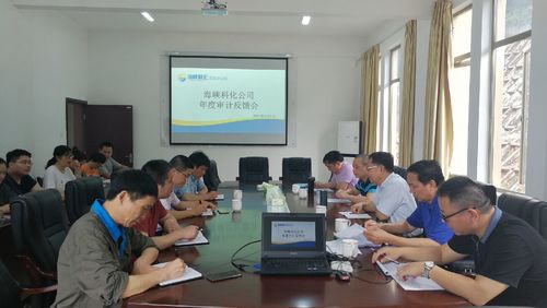 海峡科化对龙岩分公司审计结果反馈会1.jpg