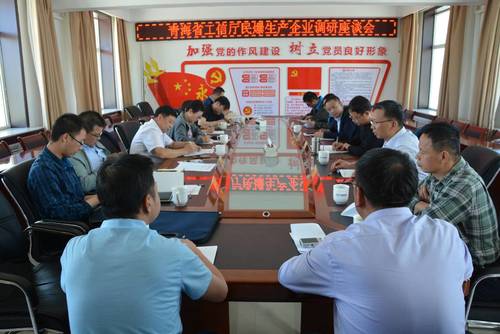 对海西东诺公司进行检查指导.jpg 对海西东诺公司进行检查指导.jpg