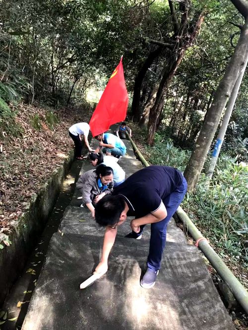 陈宏金：不忘初心 牢记使命，永春分公司组织机关党员清理上下班台阶的青苔1.jpg