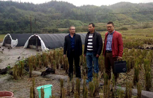 3GXB12AQU_FVIH2NML7VP2F_调整大小.png 3GXB12AQU_FVIH2NML7VP2F_调整大小.png