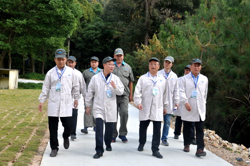 （采用）刘敏 永春县项目督查组到分公司督查4_调整大小.JPG