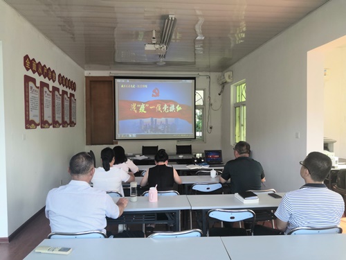 2020.7 观看战疫一线党旗红.jpg