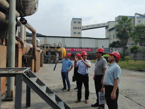 永安双华公司邓焱珍：海峡科化党委书记、董事长吴彩洪一行到实地考察现场_调整大小.jpg