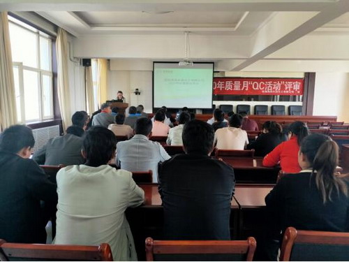 青海海西东诺化工有限公司举行QC成果发布会现场_调整大小.jpg