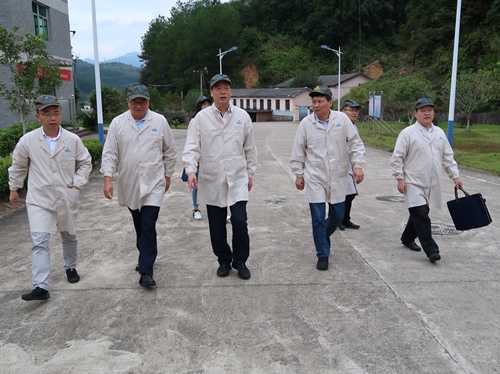 (改)烽林叶彤:机电领导调�?.jpg (改)烽林叶彤:机电领导调�?.jpg