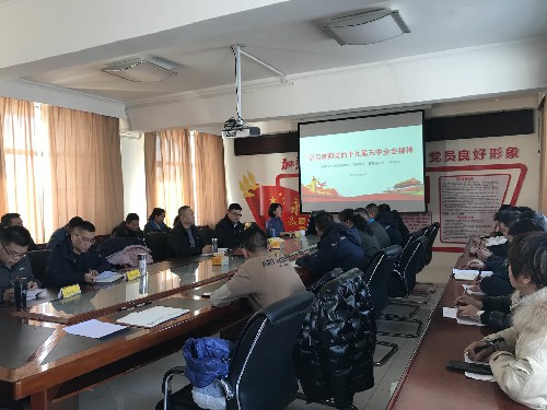 海峡科化党委到青海东诺公司党支部宣贯十九届五中全会精�?~1.jpg