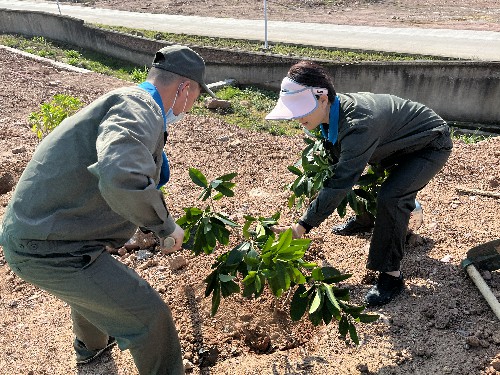 龙岩分公�?叶莉+海峡科化龙岩分公司机关一、二党支部联合开展“参与绿色活�? 共建美丽家园”义务植树主题党日活�?~1.jpg