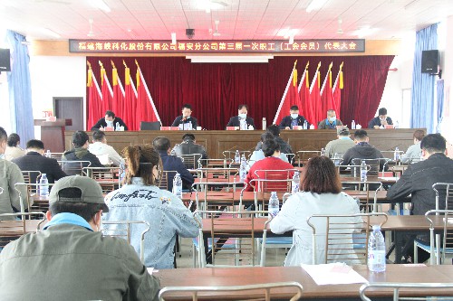 福安分公司胡廷淦:图为海峡科化福安分公司职工代表大会~1.jpg 福安分公司胡廷淦:图为海峡科化福安分公司职工代表大会~1.jpg