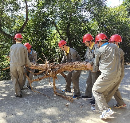 党员干部化身隐患排查员~1.jpg 党员干部化身隐患排查员~1.jpg