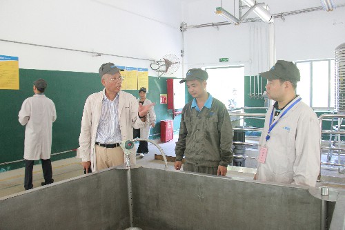 福安胡廷淦：图为专家组在现场查看 (3)~1.jpg