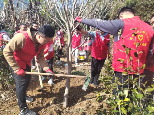 格式工厂龙岩分公�?黄晓�?植树现场1.jpg 格式工厂龙岩分公�?黄晓�?植树现场1.jpg