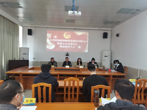 格式工厂烽林连珂莹：海峡科化烽林分公司团委换届选举大会胜利召开（会议现场）.jpg