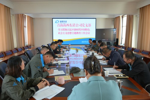 格式工厂青海海西东诺化工有限公司召开学习贯彻习近平新时代中国特色社会主义思想主题教育工作会议现场.jpg 格式工厂青海海西东诺化工有限公司召开学习贯彻习近平新时代中国特色社会主义思想主题教育工作会议现场.jpg