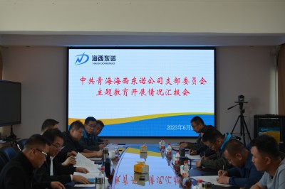 格式工厂青海东诺公司 张玉�?主题教育汇报会议1.jpg