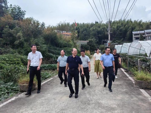 格式工厂福安黄晓志：图为省机电控股公司党委委员、副总经理吴大文到福安市仙岭村开展乡村振兴工作调�?(2).jpg
