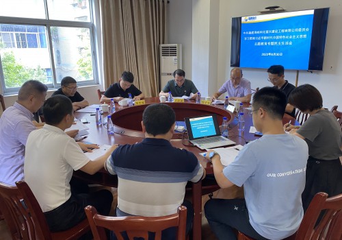 格式工厂富兴建设公司 李紫�?海峡科化公司党委书记、董事长吴彩洪带队督导富兴建设公司党委主题教育专题民主生活会 (2).jpg