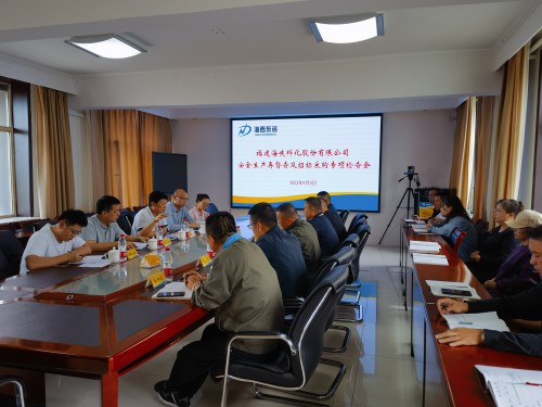 格式工厂海峡科化公司纪委书记何浦寨一行到青海海西东诺公司开展安全生产再督查及招标采购专项检查会现场1.jpg