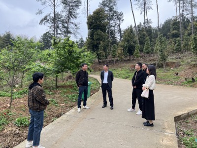 吴开�? [原始大小].jpg