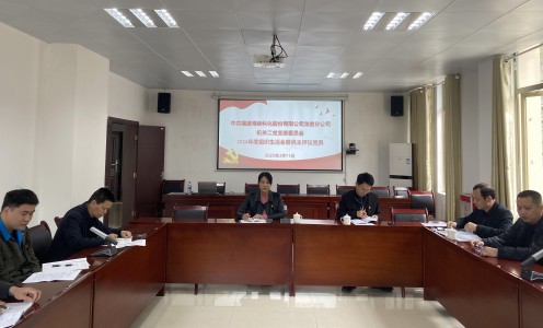 格式工厂龙岩分公司+张力燕+海峡科化党委副书记、常务副总经理陈志华参加指导挂钩联系党支部2024年度组织生活会.jpg